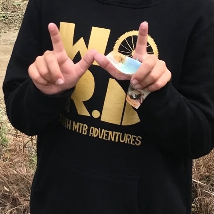 How do you tell them you support WORD without telling them you go to WORD? 

We are doing a merch run! Get your little shredder a hoodie or socks via the bookings pages in our website.
Any size hoodie you like in gold or lavender logos. And 2 sizes a